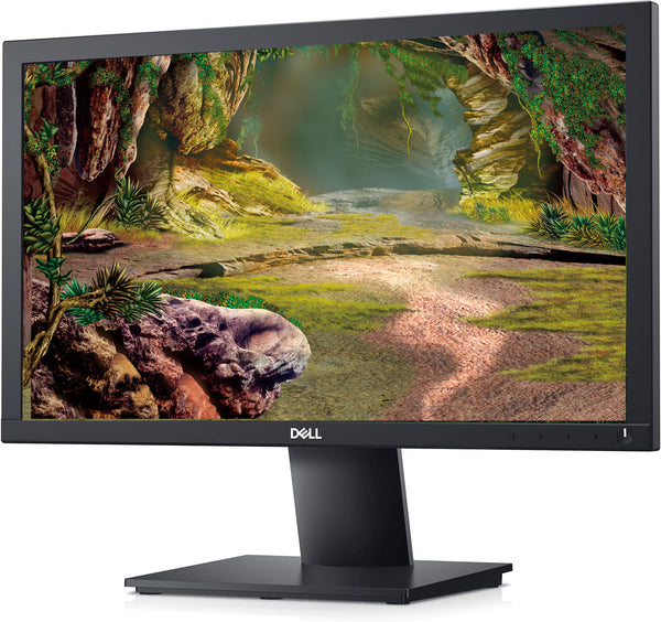 Monitor 20" E2020H