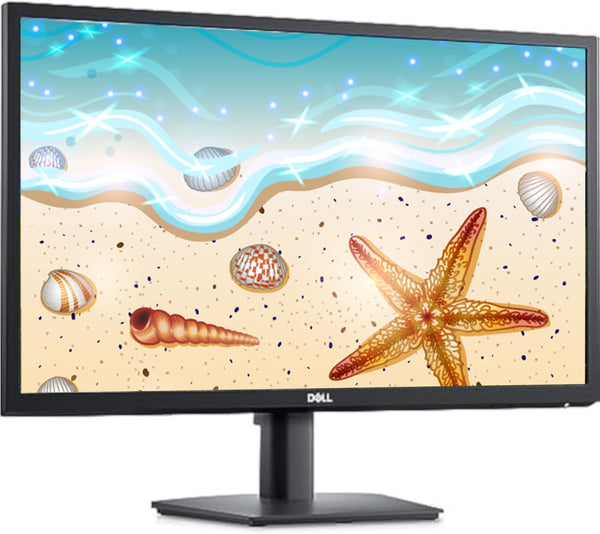 Monitor 24"  E2423HN